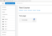 master - reCAPTCHA web.png