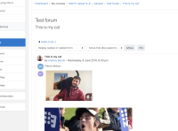 webview.png