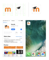 Screen Shot 2018-07-03 at 1.48.14 pm.png