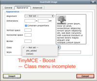tinymce boost 3.5 demo - image.png