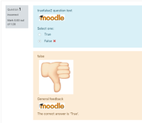 Screen Shot 2018-11-08 at 16.25.16.png