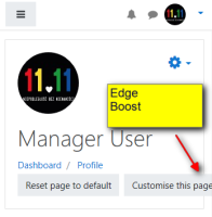2018-11-26 , 17_56_07 - Manager User_ Public profile _- Microsoft Edge.png