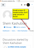2018-11-26 , 18_38_41 - http___localhost_mod_forum_user.php_id=4&mode=discussions&theme=boost_Discussions started by Shem Kashubian - Internet Explorer.png