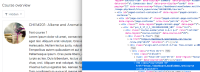 couse name heading.png
