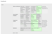 Current Rubric Feedback View.png