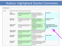 Proposed Rubric Feedback View.png