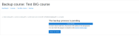 backup_process_pending.png