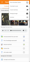MOBILE-2905-coursemenu.png