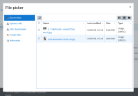 select-on-file-picker.png
