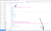 network_tab_response.png