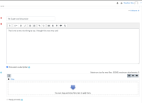 22077 Editing private reply does not allow removal of private setting.png