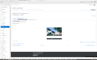 Audio_Video_Both-playing_in_Forum.png