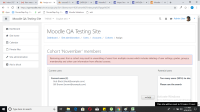 Cohort_November_Users.png