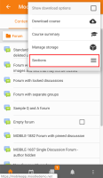 sections on context menu.png