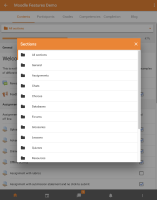 sections options on wide screens.png