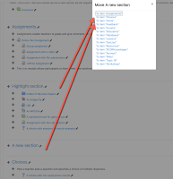 New section name are not displayed.png