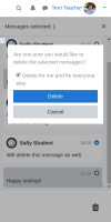 6. Private message deletion.png