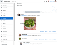 Screenshot 2019-05-15 at 13.03.00.png