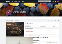 Flickr_3.png