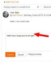 inline reply field with space around text.jpg