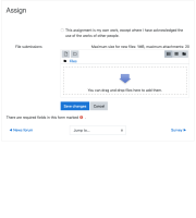 My_first_course__Assign_-_Edit_submission.png