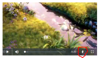 VideoJS Plugin enabled.png