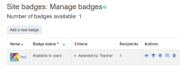 badge with manual issue criteria.png