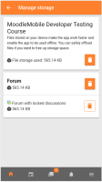 MOBILE-3305-manage-storage-example.png