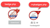 badgeVSmybadges.jpg