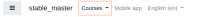 custom-nav-and-language-menus.png