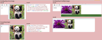 MDL-47750.jpg