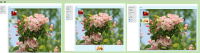 image-2020-05-29-11-21-38-289.png