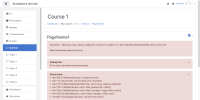 Render-H5P-content-using-filters_I-click-on-Save-and-display-button-_117.png