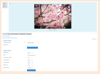 MLDQA-14559.png