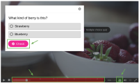 interactive_video_view.png