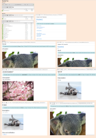 Screenshot1.png
