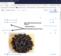 Step3MoveResource.png