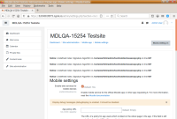 Screenshot from 2020-10-22 17-03-21.png