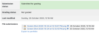 4 Successful submission of two files.png