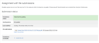 4 Successful submission of one file when limit is two.png