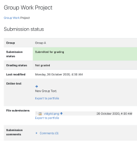 4 Student1 logs in and see the revised submission text and file as well as the Submitted for Grading status.png