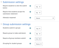 1B Required Submission & Group Settings.png