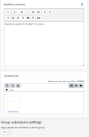 2B Teacher provides feedback comment and file for all group members.png