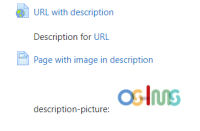 MDLQA-14952-resource-activity-description.PNG