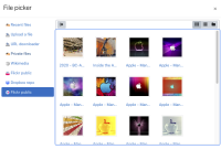 found_files.png