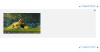 video_player_RTL_success_he_mp4.png
