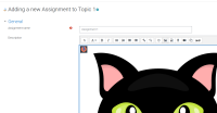 atto_drag_drop_image_multiple_images_upload_success.png