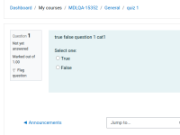 MDLQA-15352 cat1q1.png