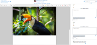 marking_guide_criterion_frequently_used_comments_success.png
