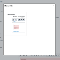 MDL-70076 39 before.png
